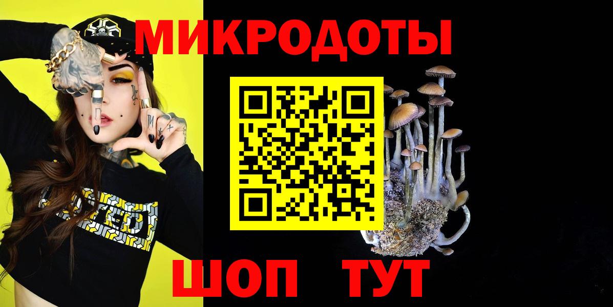Галлюциногенные грибы мицелий  Псилоцибиновые грибы прущие грибы  Вход с VPN  Выборг 