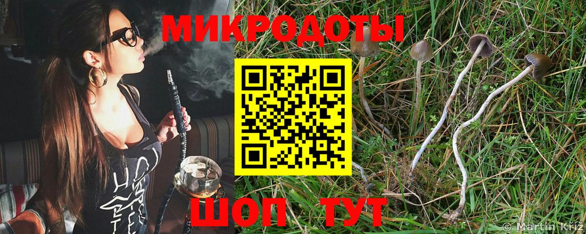 Галлюциногенные грибы ЛСД Выборг