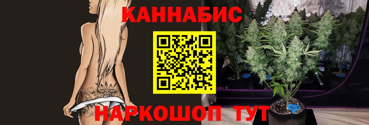 Выборг  Каннабис план  Бошки марихуана сатива  Вход с VPN 